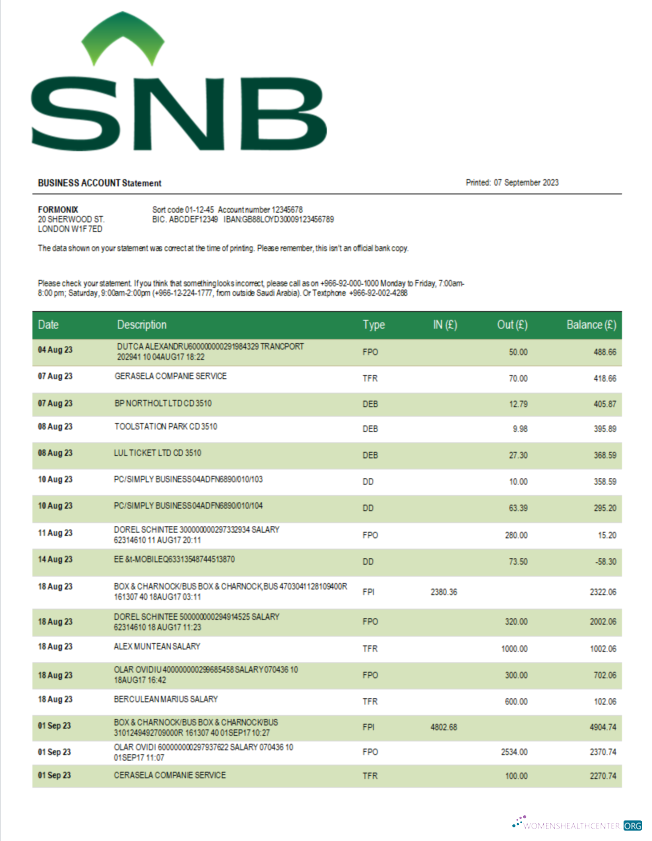 Download SNB Bank enterprise statement Word and PDF template Photoshop template